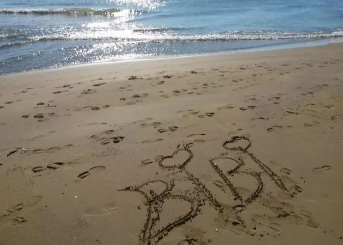 Comfortable Flat On The Floor شقة